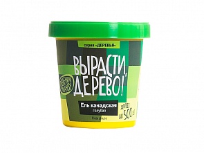 Набор для выращивания растений - Ель канадская голубая (Зеленый Капитал, zk-048)